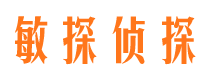 苍溪侦探公司